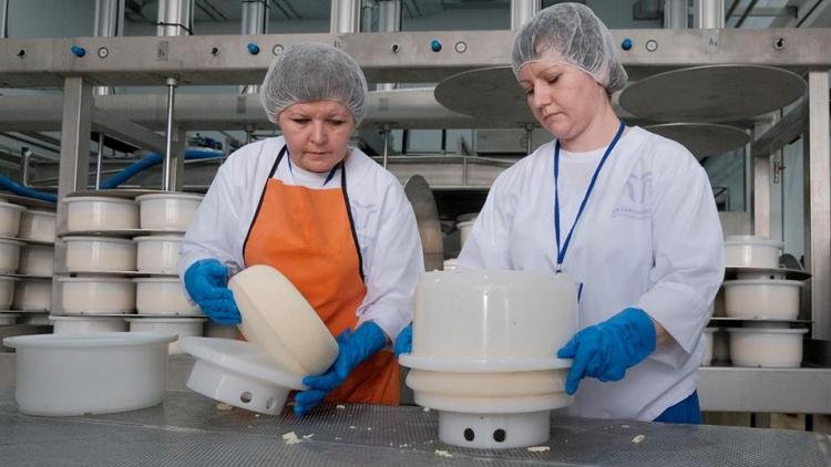 С июня в России вводится обязательная маркировка сыров и мороженого