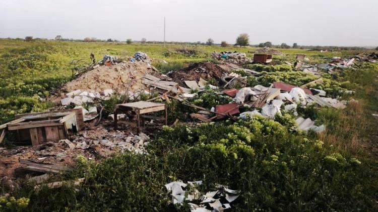 Ставропольские экоактивисты собираются создать музей мусора