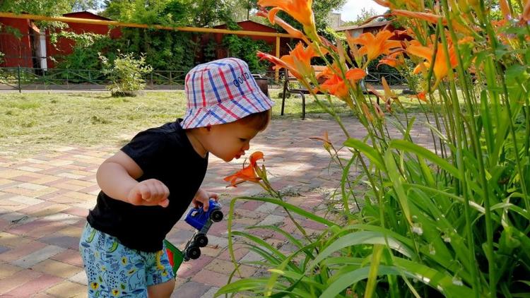 На Ставрополье ежемесячное пособие по уходу за ребенком до 1,5 лет получают более 18 800 семей