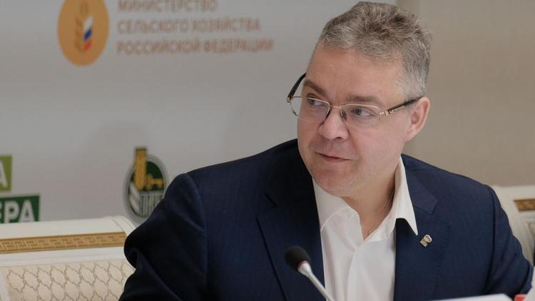 Эксперт: Строительство экотехнопарка на Ставрополье показывает большой уровень доверия федерального ведомства