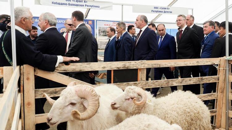 Дмитрий Патрушев принял участие в открытии Всероссийской выставки овец и коз на Ставрополье