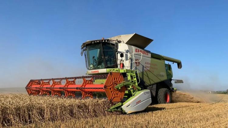 Более 60 процентов зерновых убрано в Предгорном округе Ставрополья