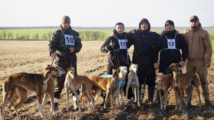 На Ставрополье на соревнованиях выбрали лучших борзых собак