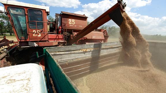 На Ставрополье собрано более 2 миллионов тонн зерновых