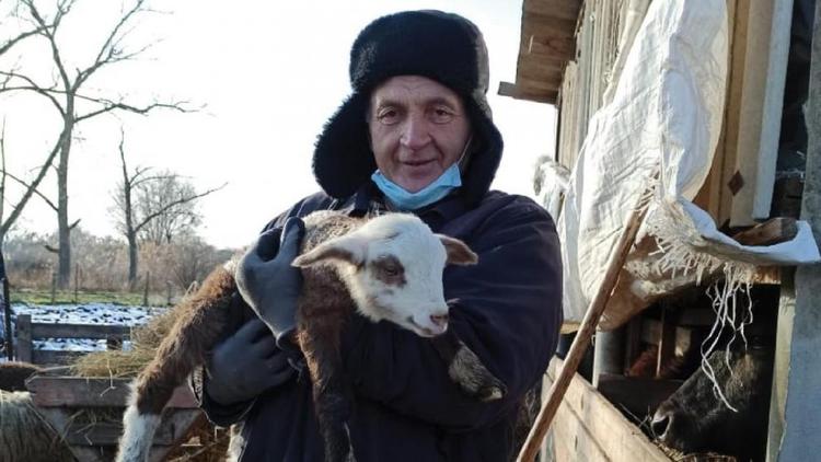 Житель села Донского на Ставрополье начал разводить овец после выхода на пенсию