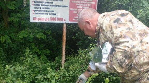 На Ставрополье завершили вакцинацию хищников от бешенства