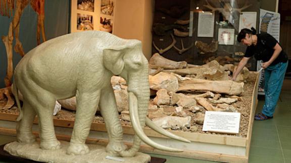 На Ставрополье появится спортивно-туристский маршрут «Где искать южного слона?»