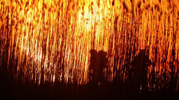 На Ставрополье ожидается чрезвычайная пожароопасность