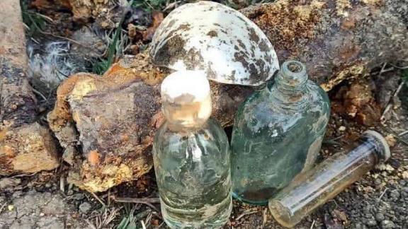 При раскопках в Изобильненском округе Ставрополья обнаружили военную амуницию