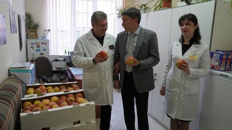 В Ставрополе детям в краевую больницу передали ящики яблок