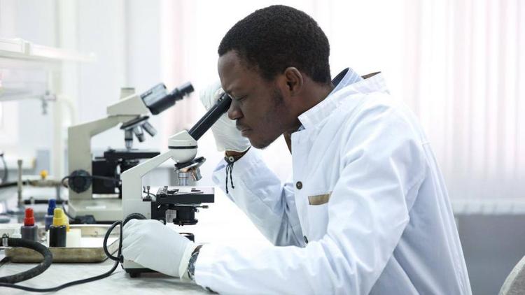 СКФУ укрепляет позиции в сфере экспорта российского образования