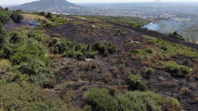 В минприроды Ставрополья рассказали о последствиях пожаров на горе Бештау