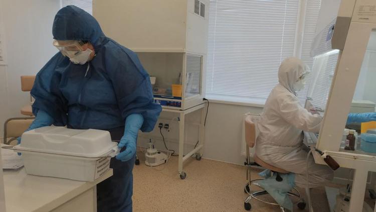 На Ставрополье за сутки провели более 6 тысяч тестирований на коронавирус
