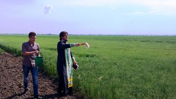 Чин обхождения полей совершен перед жатвой в Кировском районе