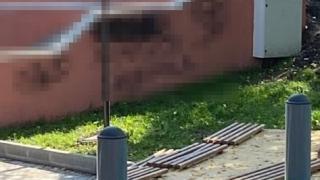Вандалы испортили стены в Школьном сквере в посёлке Иноземцево на Ставрополье 