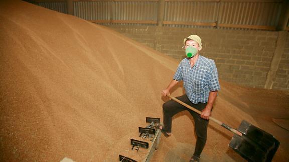 Эмбарго – запрет на экспорт зерна. Что ожидает ставропольских крестьян?