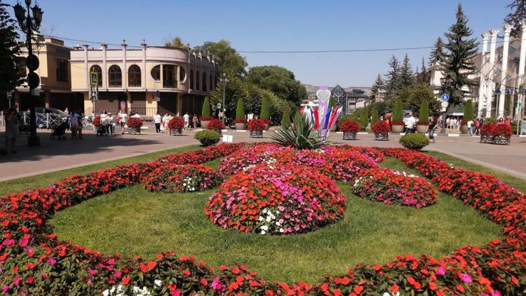 Более полумиллиона цветов украсят клубы Кисловодска