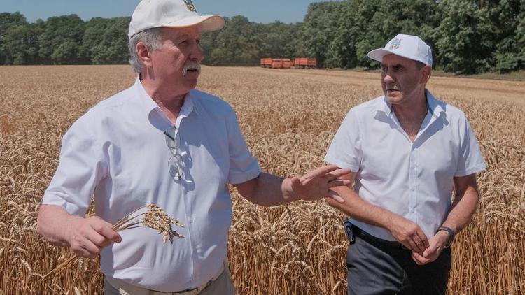 Аграрии Ставрополья собрали 5 миллионов тонн зерна