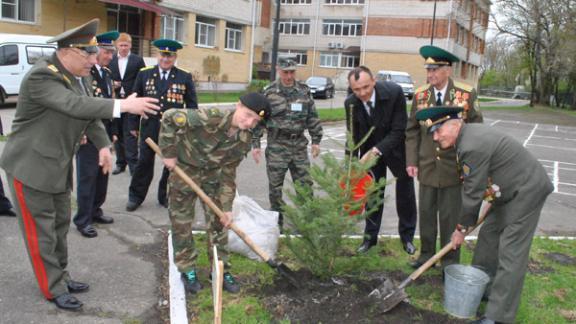 Ветераны ФСБ и кадеты посадили кавказскую ель возле школы Ермолова в Ставрополе