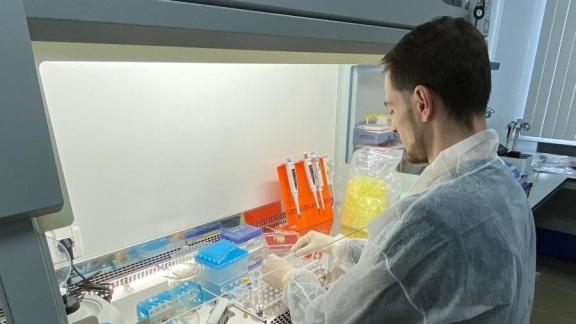 В СтГАУ запустили крупнейшую на Юге России лабораторию молекулярно-генетической экспертизы