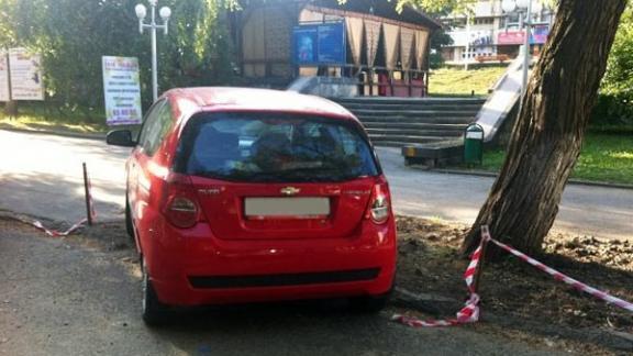 Хамство: припарковался на газоне возле Дворца культуры и спорта Ставрополя