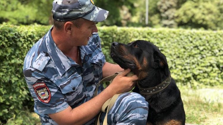 В органах внутренних дел Ставрополья работают 257 служебных собак
