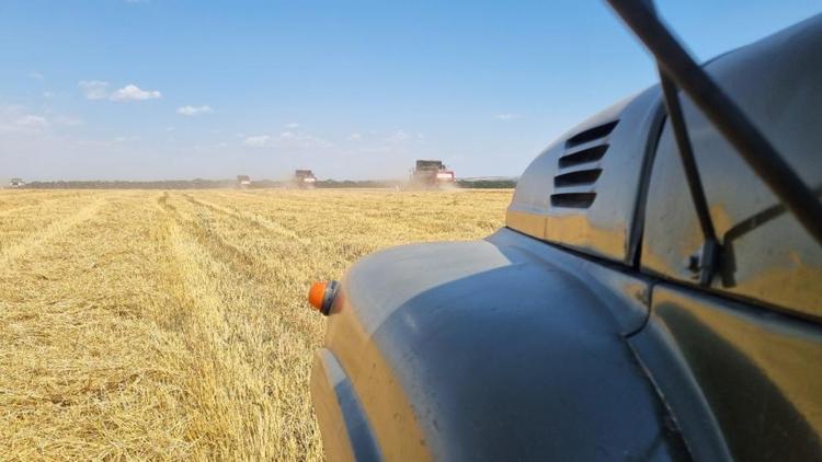 Губернатор Ставрополья пожелал аграриям успешного выполнения всех работ на полях
