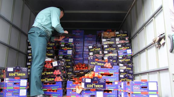 2,5 тонны санкционных томатов из Турции задержали на Минераловодской таможне