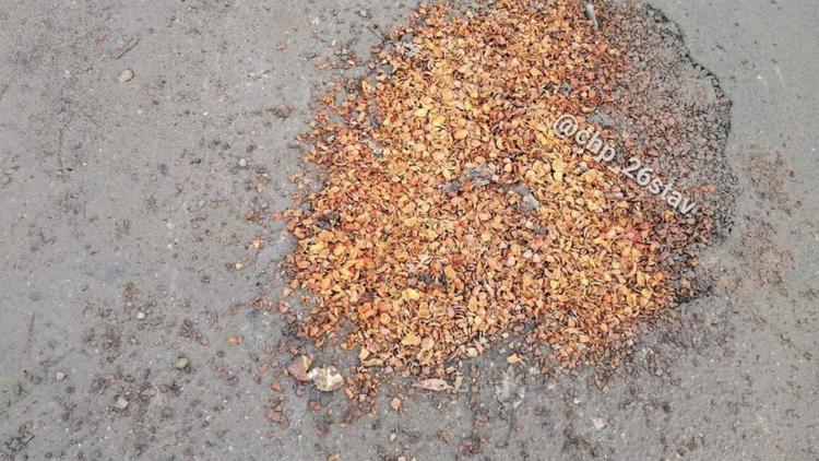 Ореховой скорлупой «отремонтировали» ямы на дорогах в селе Верхнерусском