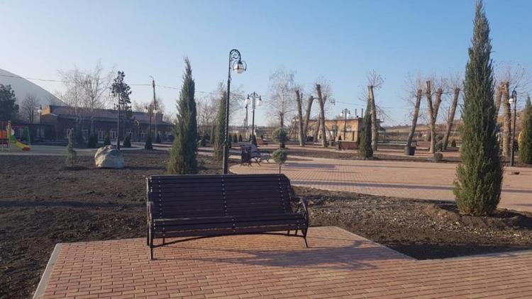 В новом парке в ставропольском селе Этока высадили туи и магнолию