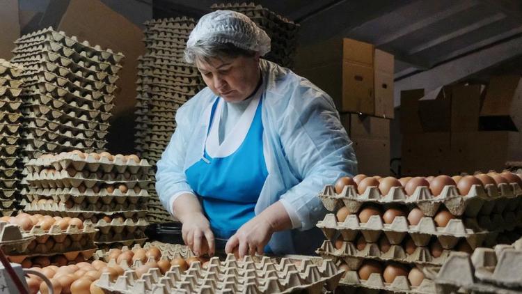 Грачёвская птицефабрика восстановила производство после птичьего гриппа