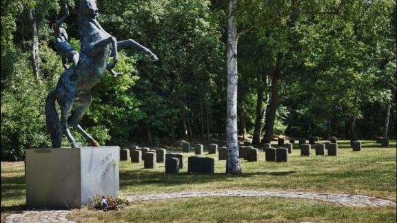 Поисковики узнали судьбу пропавшего в годы войны ставропольского солдата
