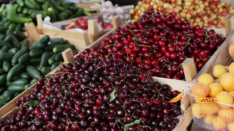 Урожай ягод и плодов на Ставрополье вырос в полтора раза