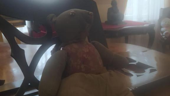 Пережившую немецкую оккупацию игрушку передадут детям Донбасса из Кисловодска