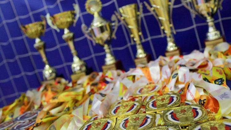 Ставропольские тхэквондисты разыграли награды чемпионата и первенства края