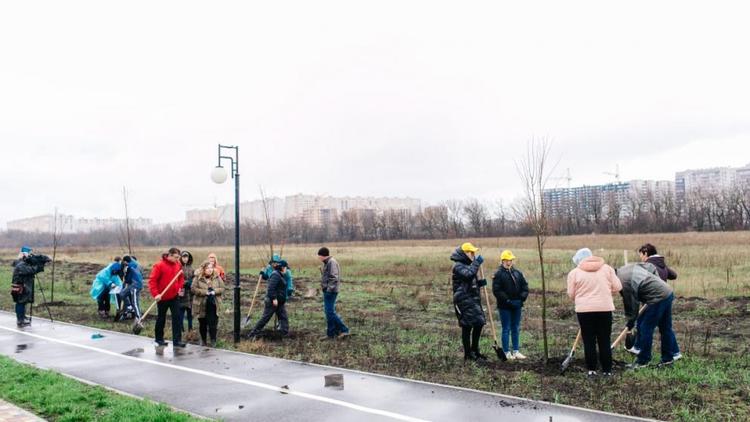 В Ставрополе появился Гагаринский сад