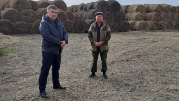 Зимовку скота оценили в Нефтекумском округе Ставрополья