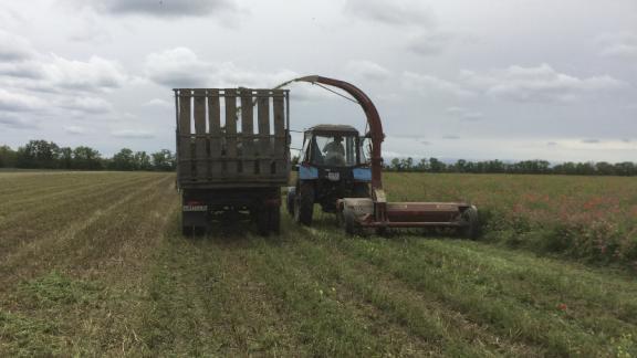 В Труновском округе Ставрополья заготовили корм на 1140 голов сельхозживотных 