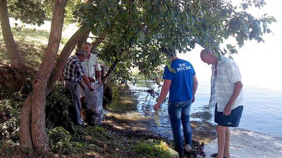 Пять тысяч метров береговой полосы очистили от мусора на трех водоемах Ставрополья