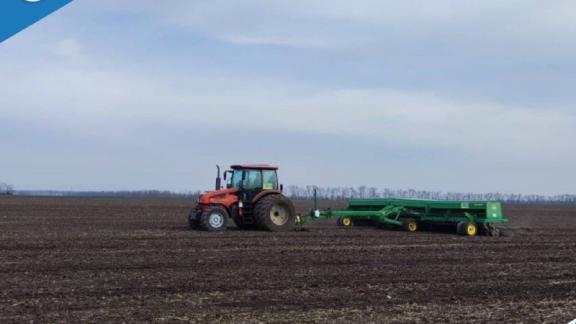 Аграрии Ипатовского округа засеяли первые 7,5 тысячи гектаров гороха