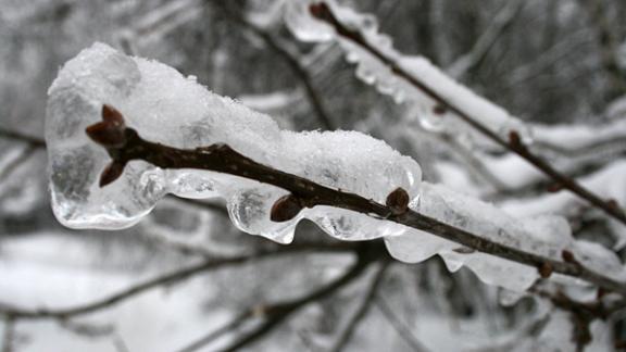 28 ноября ставропольчан ожидает ледяной дождь с мокрым снегом