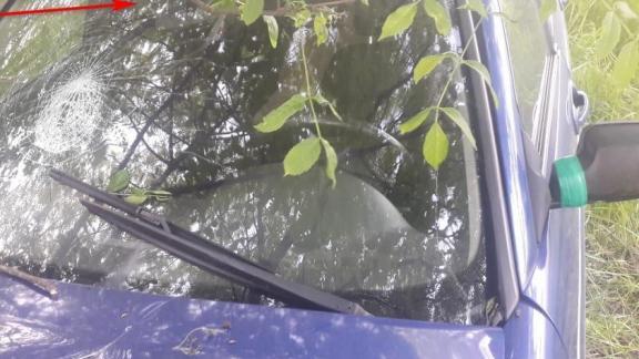 В Минераловодском округе водитель-лихач на скорости въехал в дерево