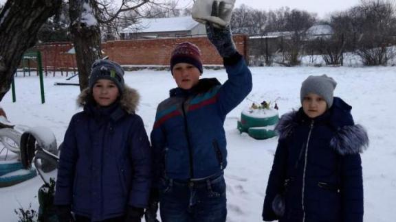 В Светлограде дети вместе с библиотекарями кормят зимой птиц