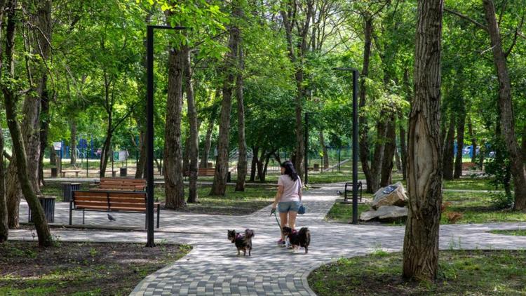 Ставропольский сквер «Ореховая роща» участвует во всероссийском конкурсе