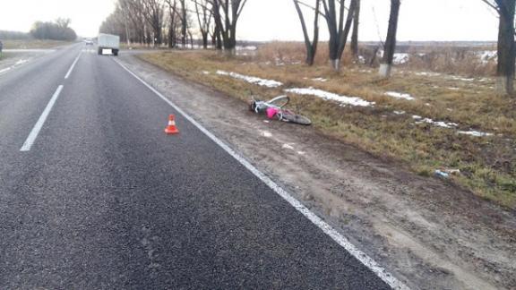 В Кочубеевском районе грузовая «ГАЗель» сбила велосипедиста