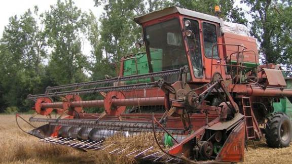 Аграриям Кочубеевского района предстоит убрать зерновые с площади 55116 гектаров