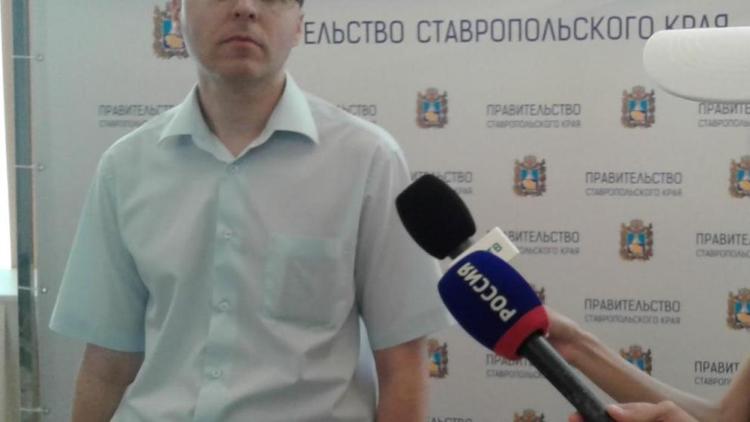 Более 20 хозяйств Ставрополья обратились в страховые компании после града и ливней 