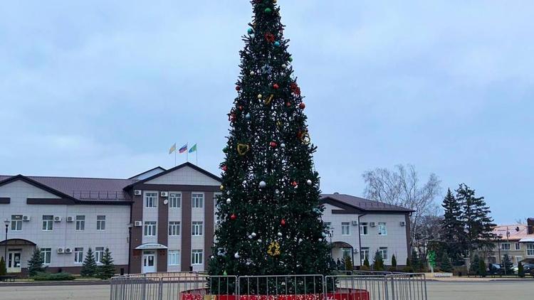 В Кочубеевском округе установили главную елку территории и объявили новогодний конкурс