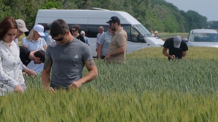 В Госреестрое зарегистрировано почти 200 сортов сельхозкультур ставропольской селекции