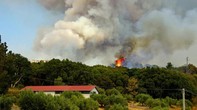 Противопожарные патрули на Ставрополье предотвратили 26 возгораний в лесах